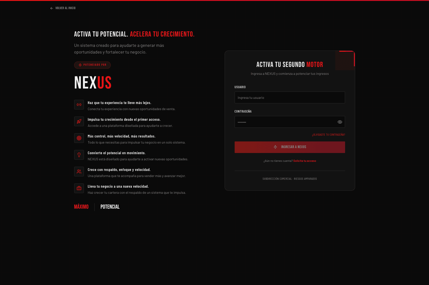 NEXUS / Riesgos Amparados preview